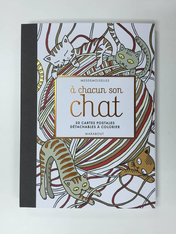 Cartes Postales A Chacun Son Chat